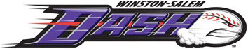 Winston-Salem Dash logo